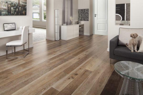 persian oak 003 mr 1024x682 1 600x400